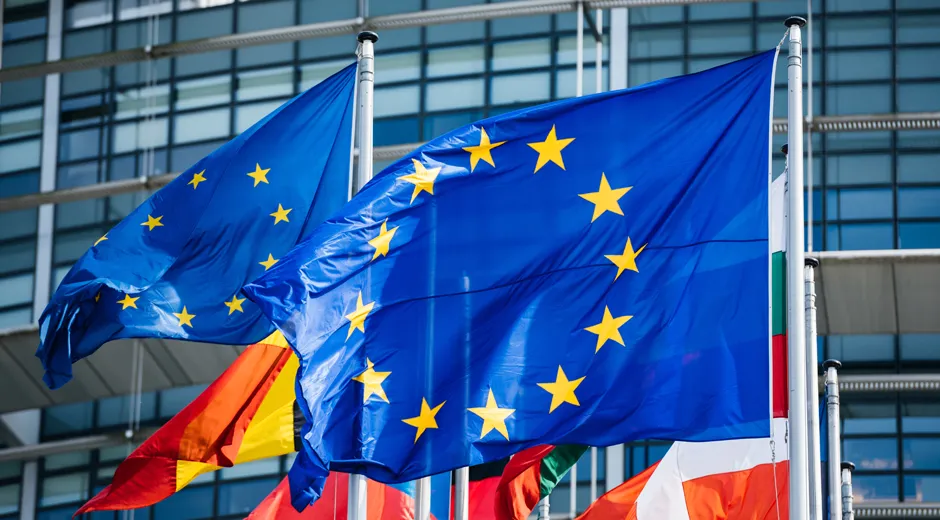 Master Europrogettazione e rendicontazione dei finanziamenti europei