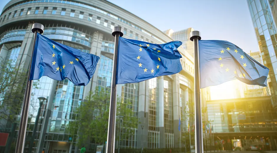Universitario Europrogettazione e rendicontazione dei finanziamenti europei