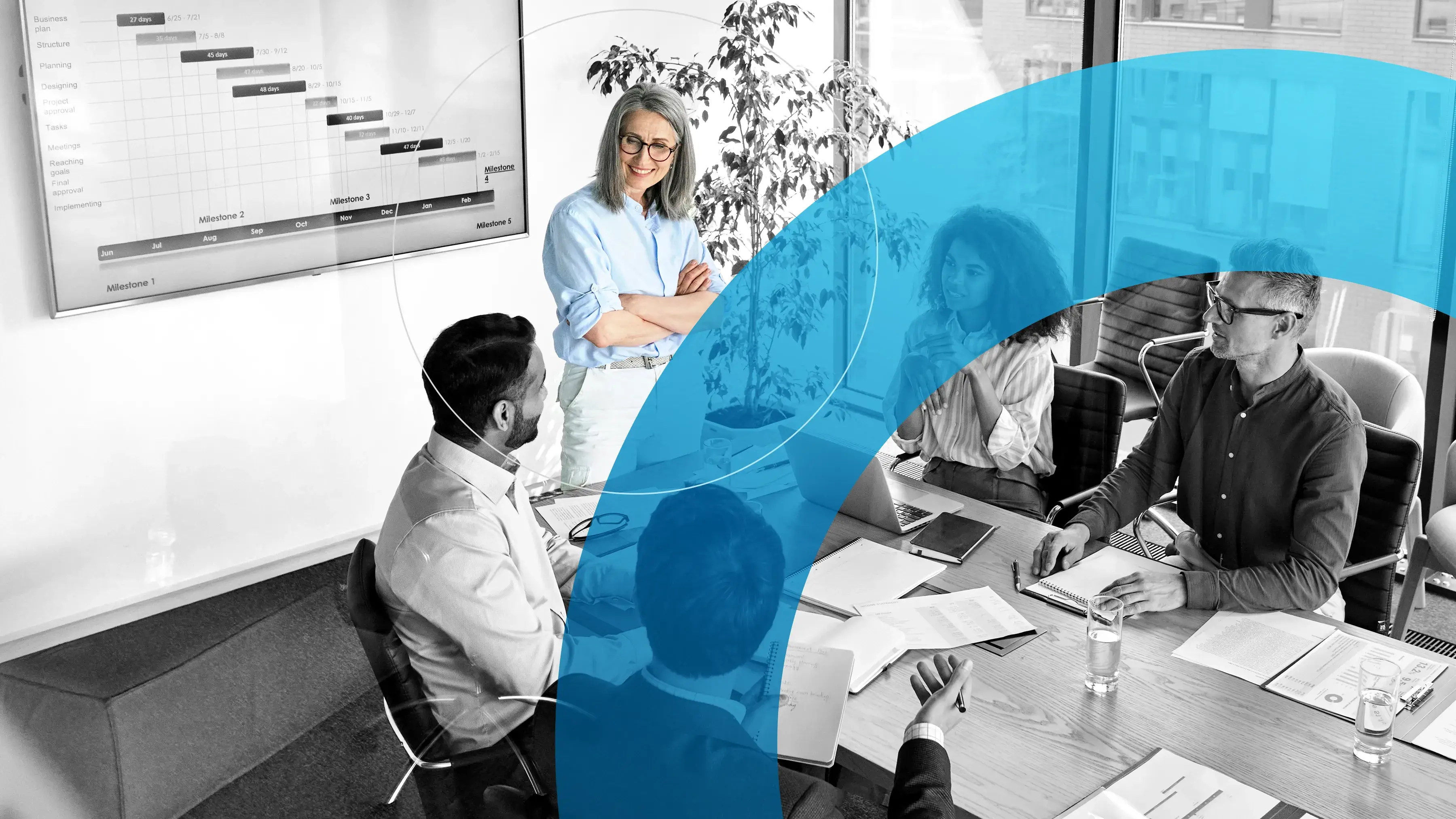 Executive Management e  Direzione Strategica