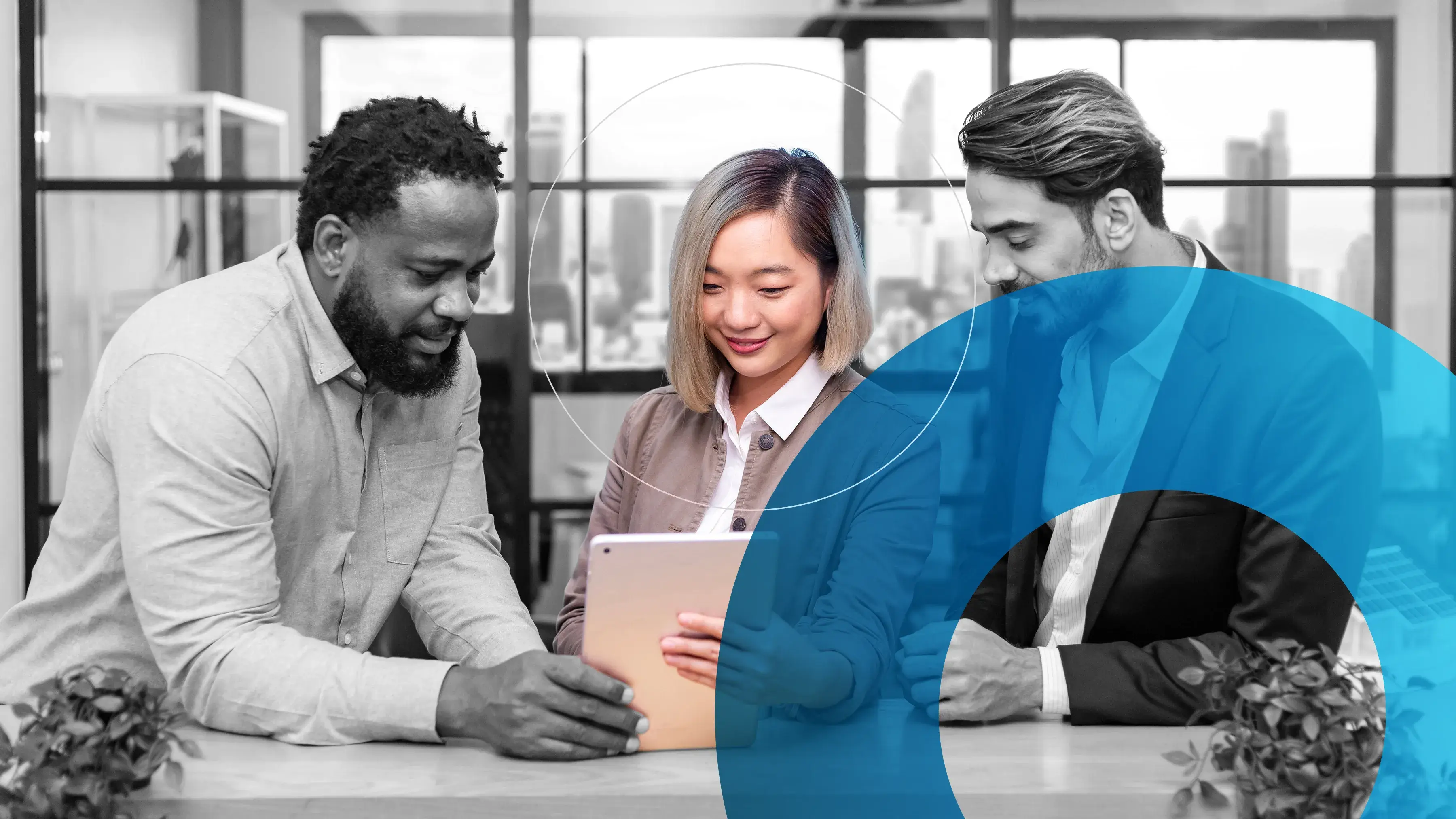 Executive Sviluppo strategico e management del no profit