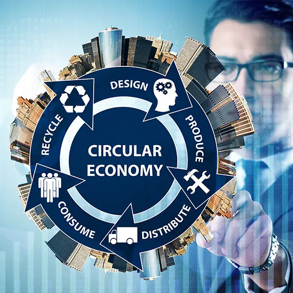Gestione Finanziaria, Sociale ed Ambientale nella Circular Economy